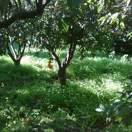 Privat bolig Koyunbaba *